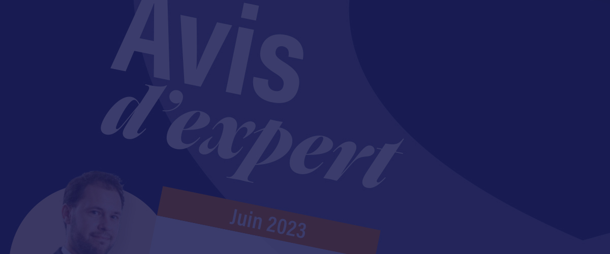 Visuel du guide expert SCPI
